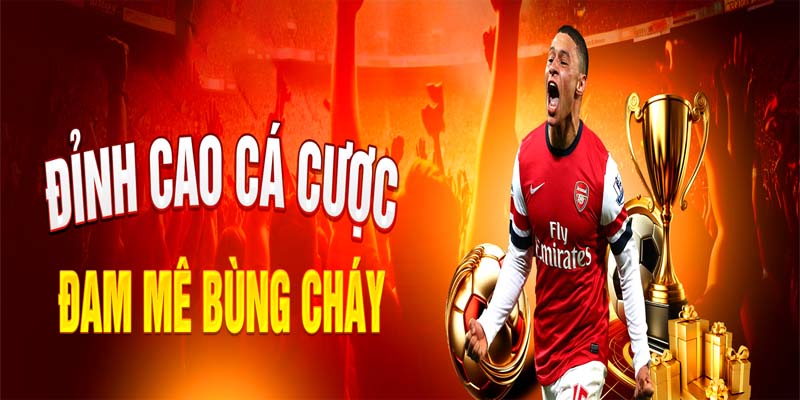 Lý do tất cả các thành viên nên tham gia vào nhà cái