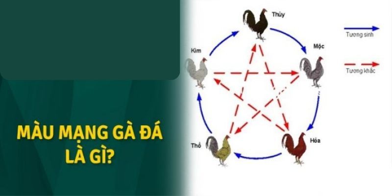 Vì Sao Phải Xem Mạng Trước Khi Ra Trận?