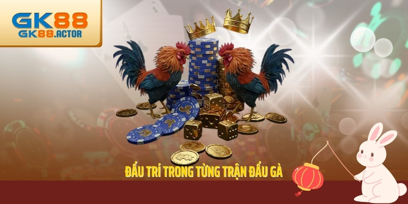dau-tri-trong-tung-tran-dau-ga